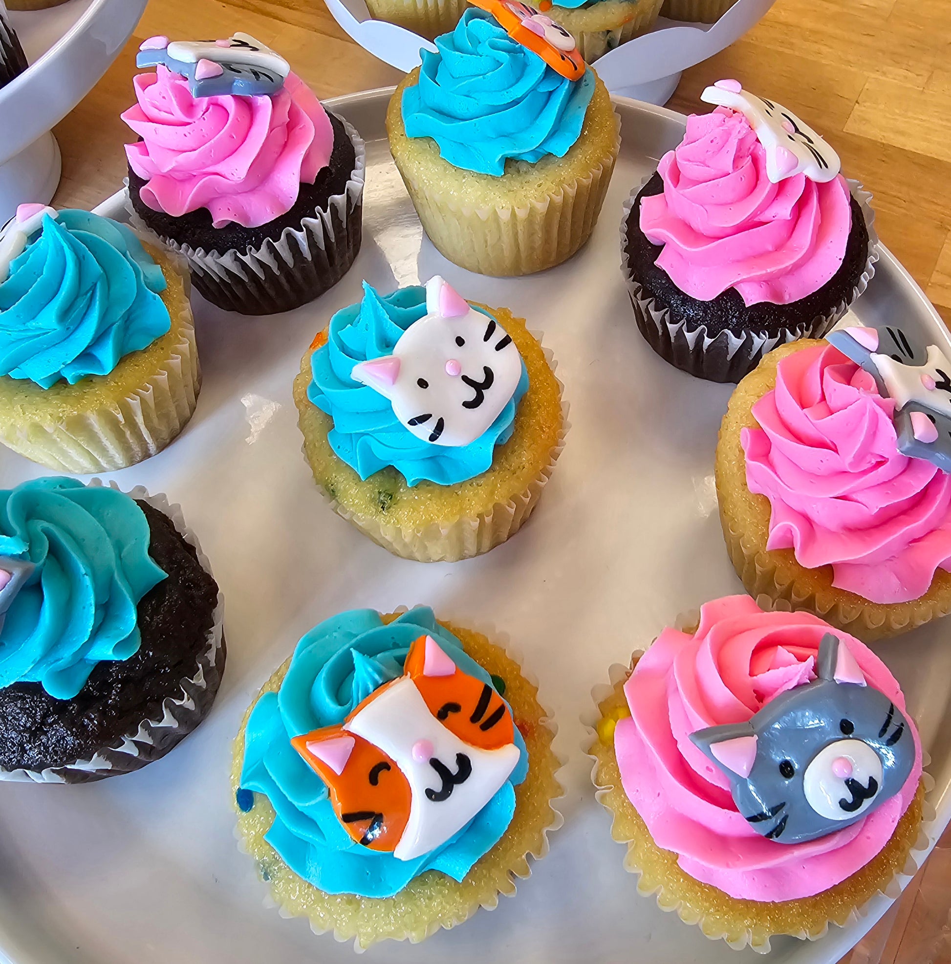 Bright, colorful cat-themed cupcakes from Cake Hoopla, available for pickup at Cake Hoopla in Tigard, OR, near Portland.